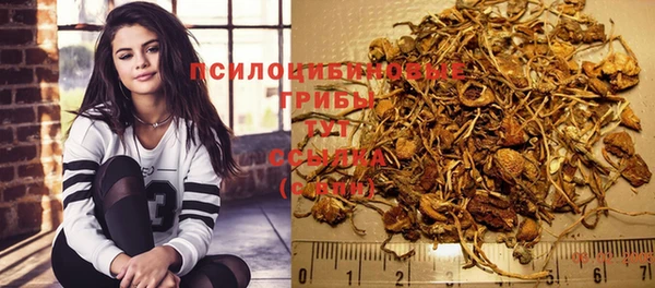 спиды Баксан