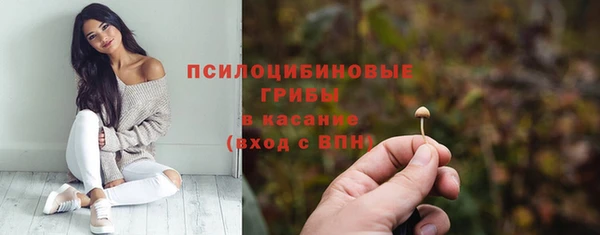 дмт Балахна