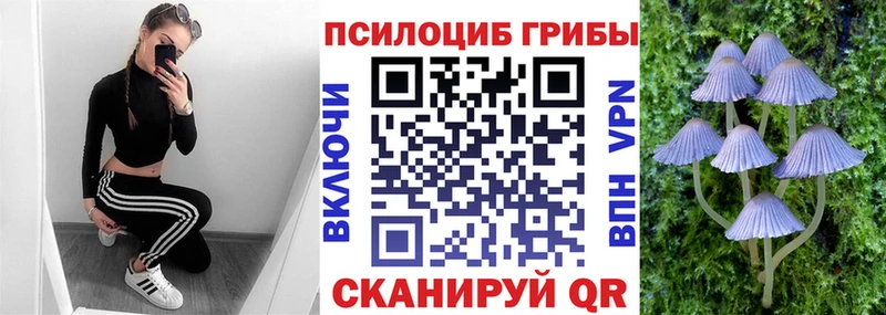 Галлюциногенные грибы Psilocybine cubensis  Шебекино 